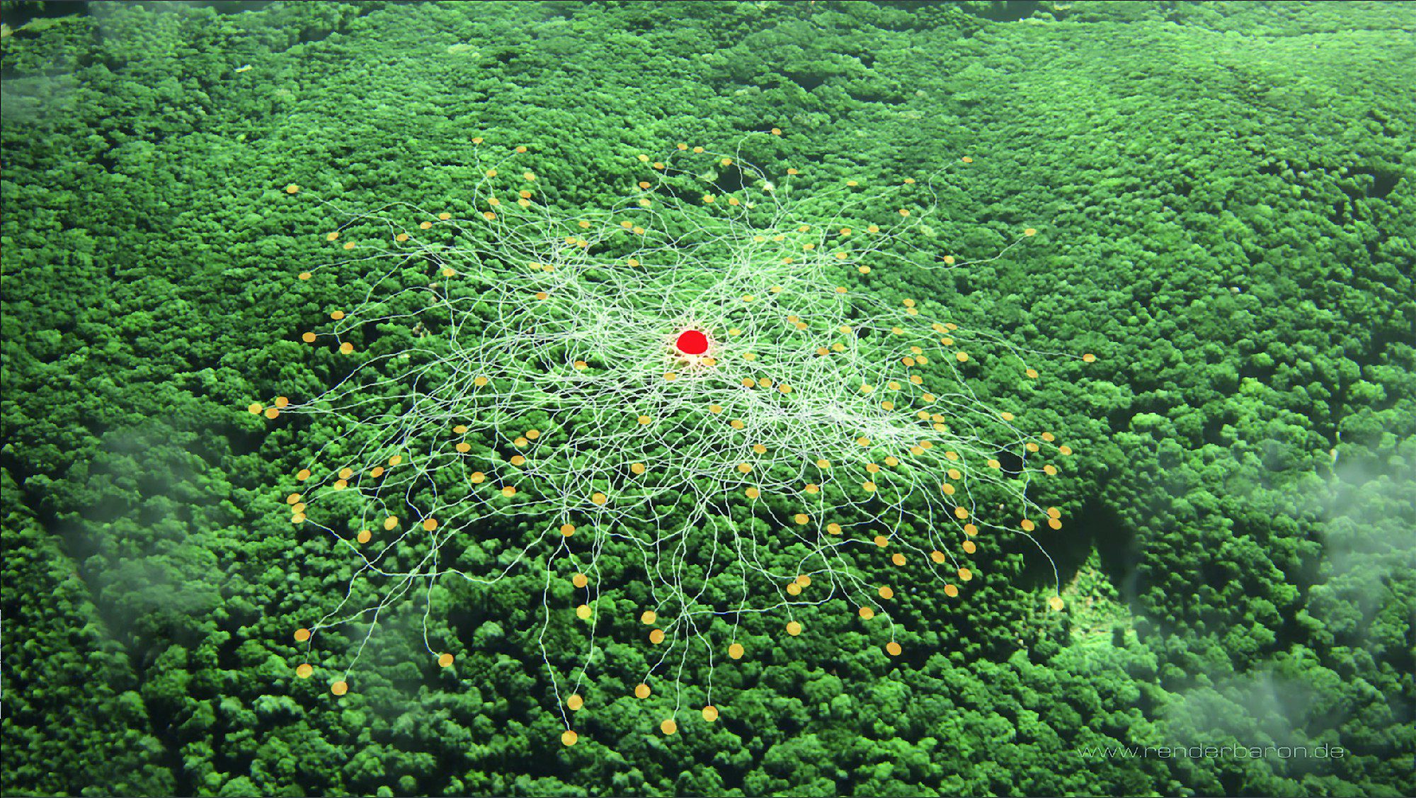 bild11 digital production Bild 11: ZDF „Terra X“, Episode „Planet der Wälder“ (https://vimeo.com/renderbaron/txplanetderwaelder, Min 1:45): ein großflächiges Turbulenz-Noise sorgt für dünne Cumulus-Wolken im Vordergrund.