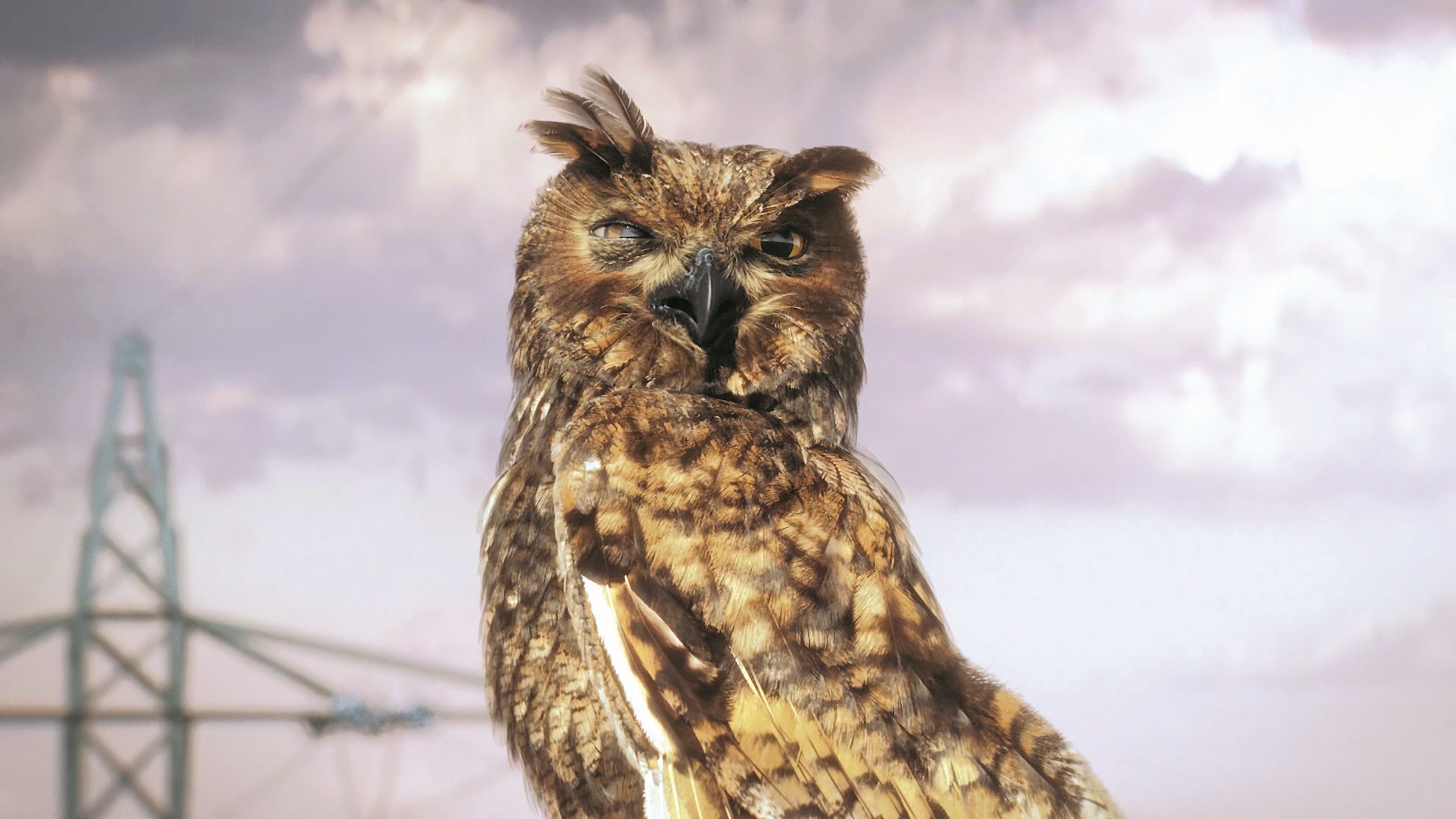 enbw0003 digital production Winner Advertisting Production: “EnBW – Guter Stoff”