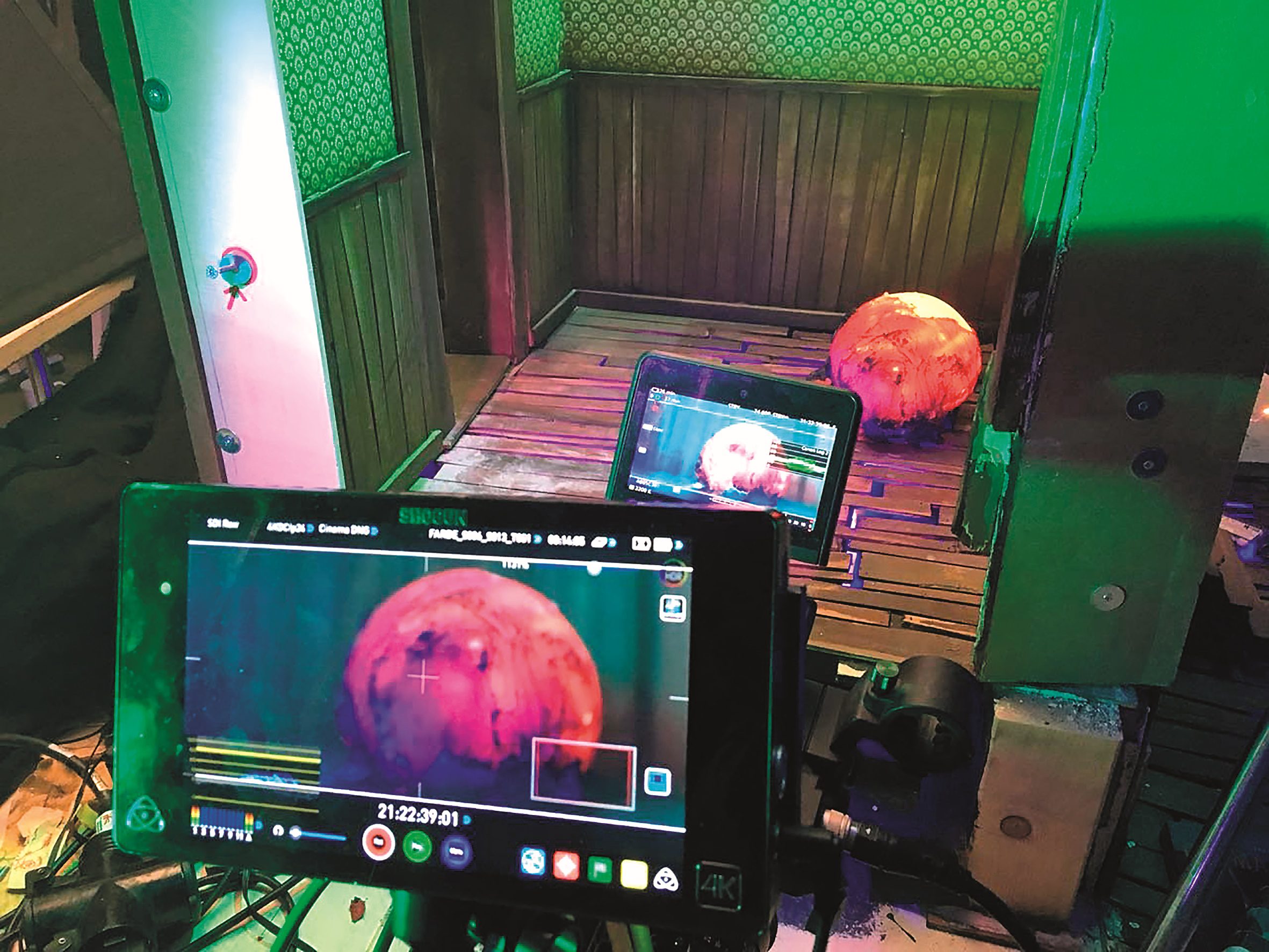 thecolourbts12 digital production