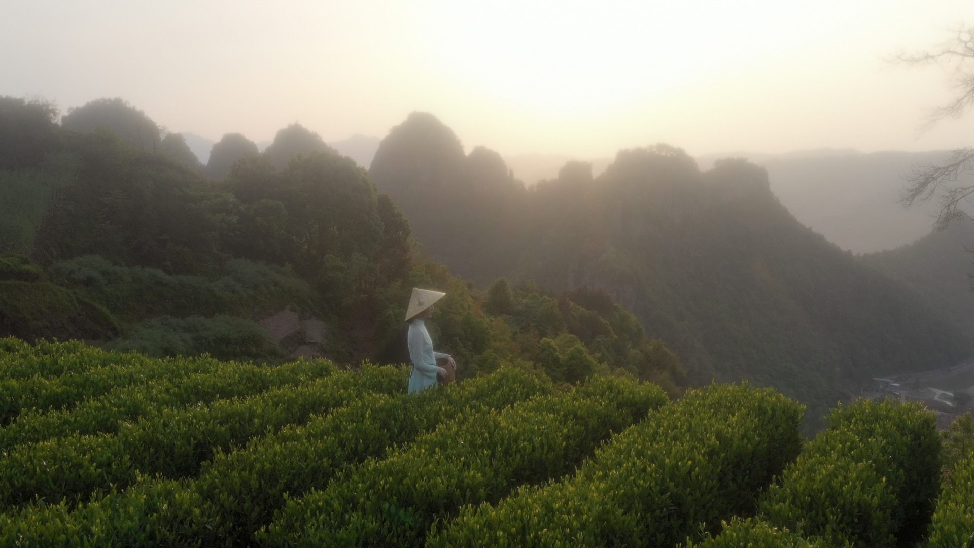 magicbulletlooksapril2022 digital production