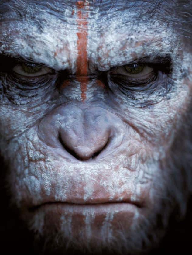 die cgaffen sind los009 digital production